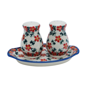 Salt and pepper shakers (A12 D20)