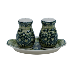 Salt and pepper shakers (A12 D49)