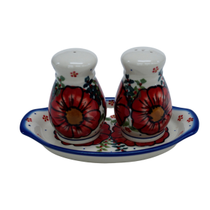 Salt and pepper shakers (A12 D101)
