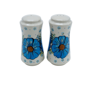 Salt and pepper shakers (A16 D102)