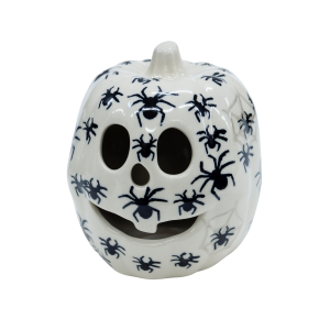 Small pumpkin Big Brother (A446 D112)