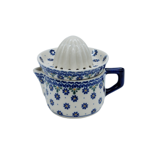 Citrus press (A409 D53)
