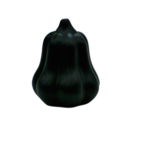 Gourd large (A447 DK5)