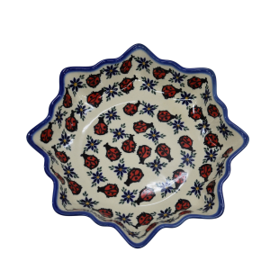 Platter STAR (A454 D18)   