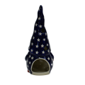 A509 D46