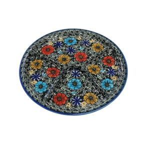 Dinner plate divided (A403 D66)