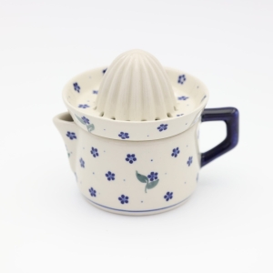 Citrus press (A409 D122) 