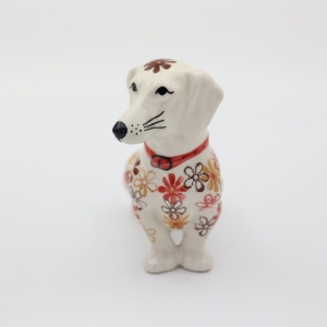 Dachshund Kajtek hunting dog (A461 D63)
