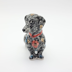 Dachshund Kajtek hunting dog (A461 D66)  