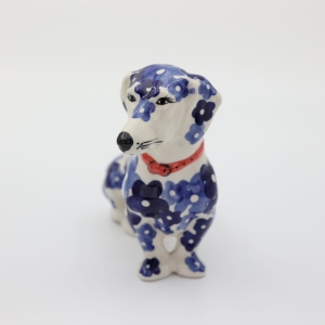 Dachshund Kajtek hunting dog (A461 D126)    