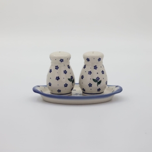 Salt and pepper shakers (A12 D122)   